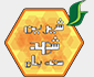 برنوتی